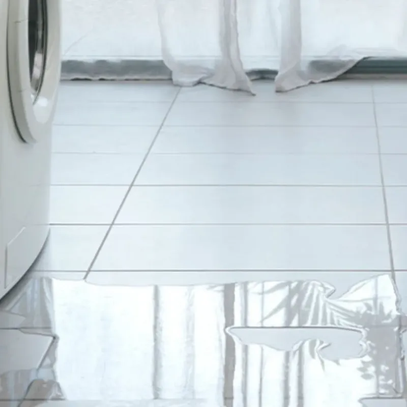 Appliance Leak Cleanup in Melrose Park, FL