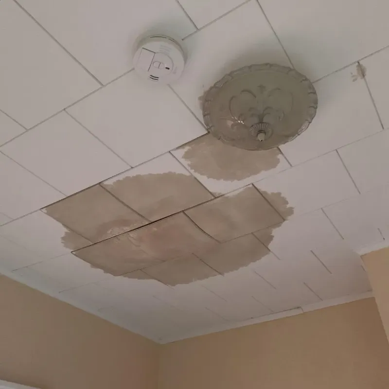 Ceiling Water Damage Repair in Melrose Park, FL